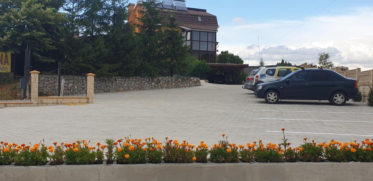 Pensiunea Carmena Băile Felix Exterior photo