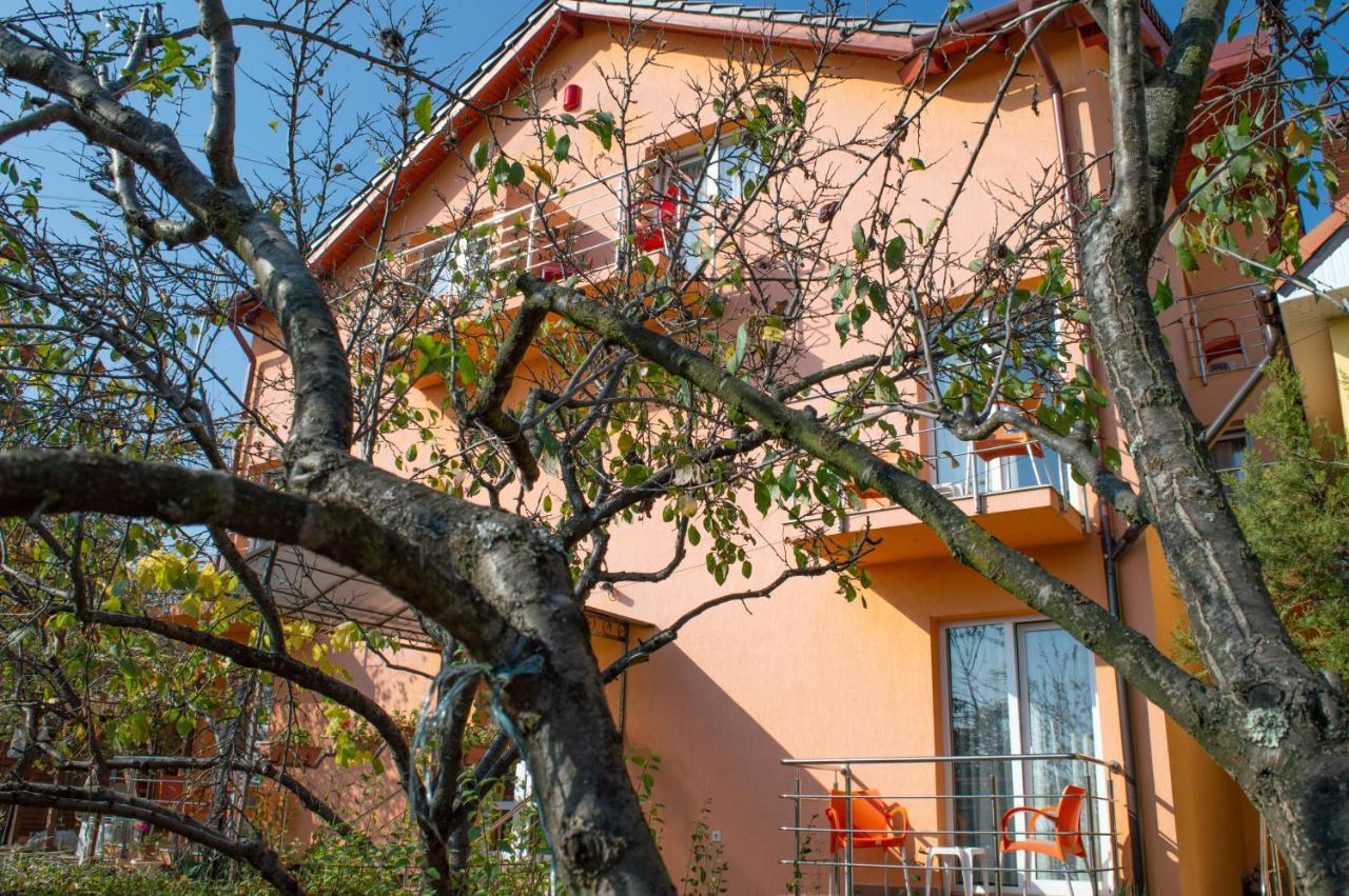 Pensiunea Carmena Băile Felix Exterior photo