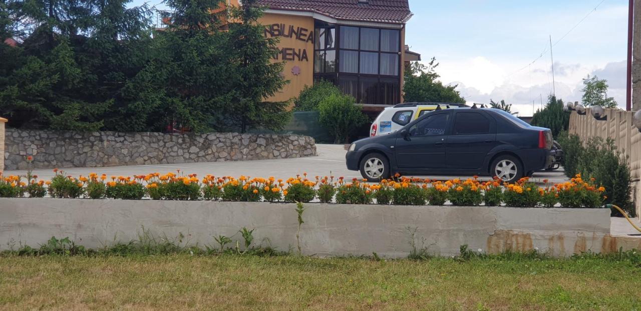 Pensiunea Carmena Băile Felix Exterior photo