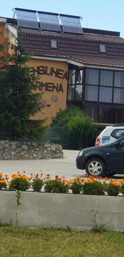 Pensiunea Carmena Băile Felix Exterior photo
