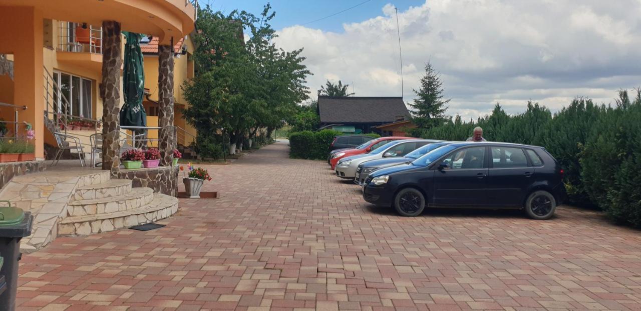 Pensiunea Carmena Băile Felix Exterior photo